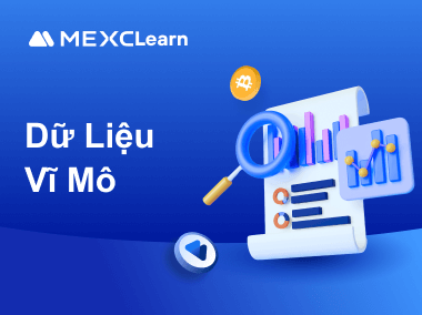 Hướng Dẫn Xem Dữ Liệu Vĩ Mô Trên MEXC