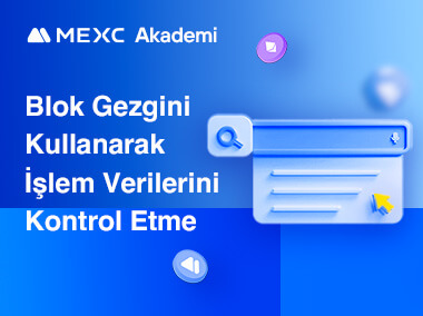 Blok Gezgini Kullanarak Popüler Tokenlerin İşlem Verilerini Kontrol Etme