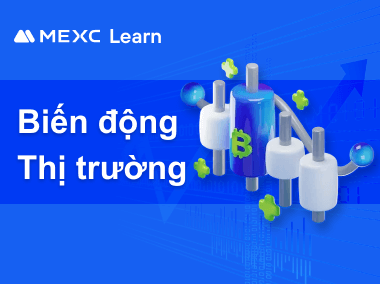 Hướng dẫn kiểm tra biến động thị trường trên MEXC