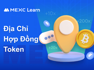 Hướng Dẫn Tìm Địa Chỉ Hợp Đồng Token Trên MEXC
