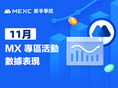 11 月 MX 專區活動數據表現