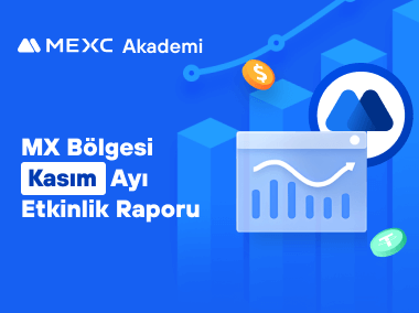 MX Bölgesi Kasım Ayı Etkinlik Raporu