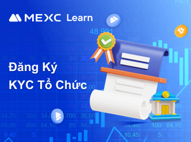 Cách đăng ký KYC Tổ chức