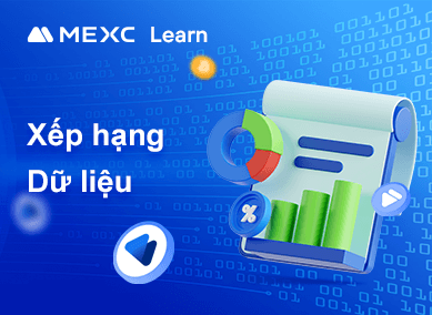 Hướng Dẫn Kiểm Tra Xếp Hạng Dữ Liệu Trên MEXC