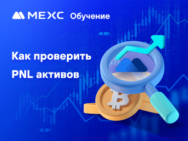 Как проверить PNL активов