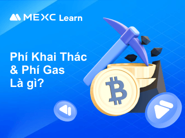 Phí Khai Thác & Phí Gas Là Gì?