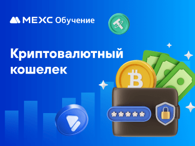 Что такое криптовалютный кошелек?