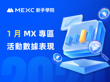 1 月 MX 專區活動數據表現