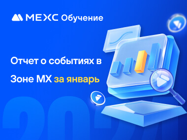 Отчет о событиях в Зоне MX за январь