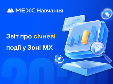 Звіт про січневі події у Зоні MX