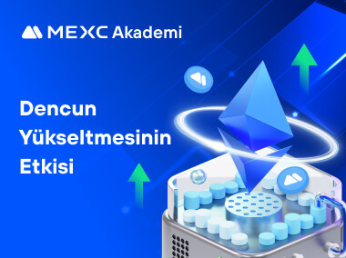 Dencun Yükseltmesinin Etkisi
