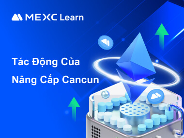 Tác động của nâng cấp Cancun