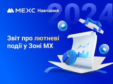 Звіт про лютневі події у Зоні MX