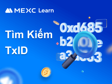 Hướng dẫn tìm kiếm TxID trên MEXC