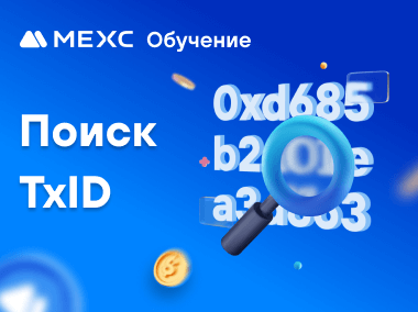 Как найти TxID на MEXC?