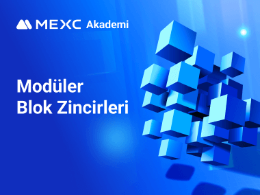 Modüler Blok Zincirleri Nedir?