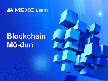 Blockchain mô-đun là gì?