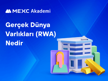 Gerçek Dünya Varlıkları (RWA) Nedir?
