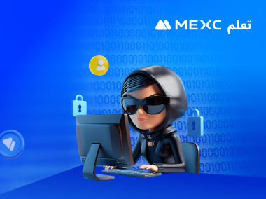 ما هو هجوم سيبيل؟