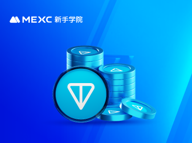 什么是TON网络