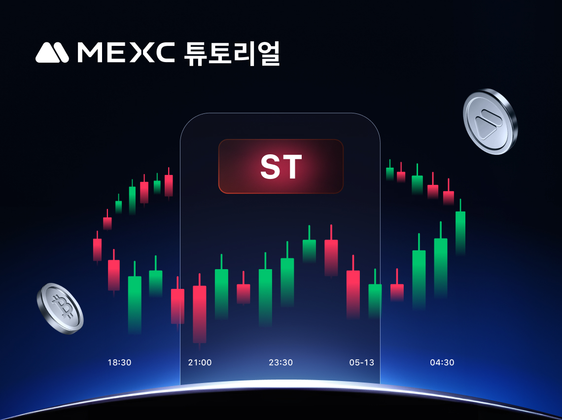 ST 태그란 무엇인가요?