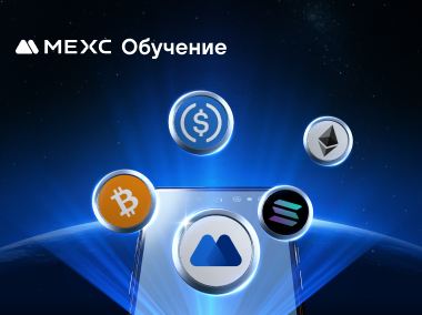 Понимание базовой информации о токенах на MEXC