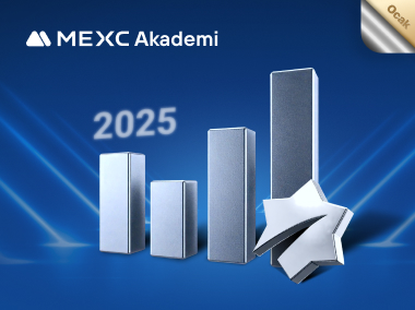 MX Bölgesi Ocak Ayı Etkinlik Raporu