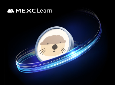 什么是 Haedal Protocol？Sui 生态优质流动性质押平台