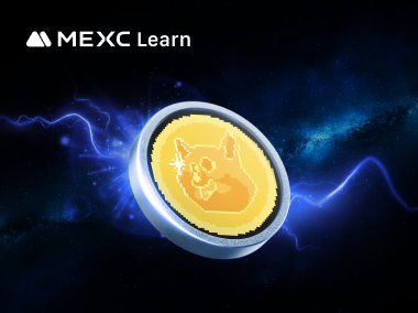 What is Tap Da Doge: Pioneering the Tap-to-Earn Revolution in Web3