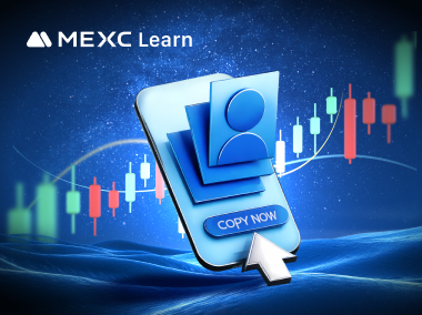 Cara Memilih Trader untuk Copy Trading