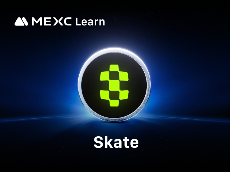 Skate: Революционная кроссчейн-инфраструктура для мультичейн-совместимости