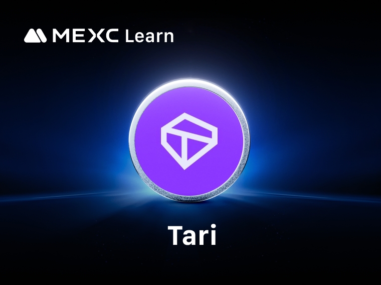 Tari là gì? Xây dựng mô hình quản lý tài sản ưu tiên quyền riêng tư