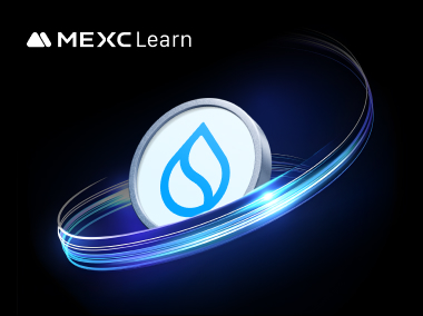 Ano ang Sui? Isang Gabay sa Next-Generation High-Performance Public Blockchain Ecosystem