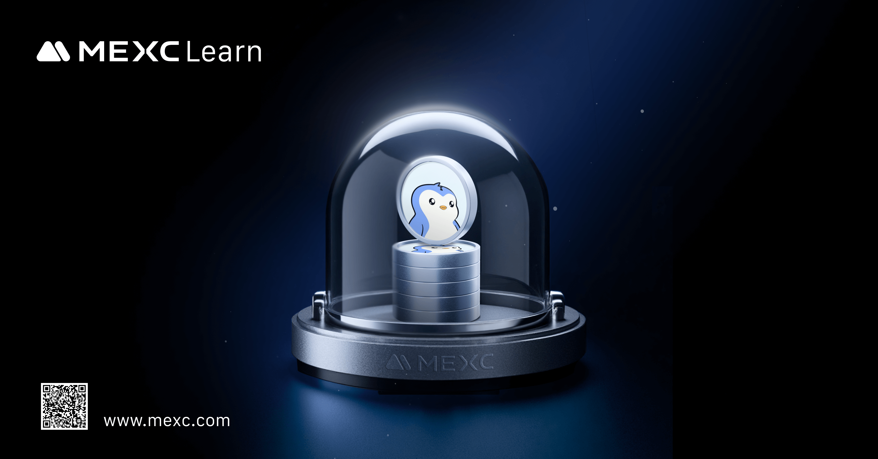 NFT 热潮渐起：Pudgy Penguins 为什么能滑出圈层？