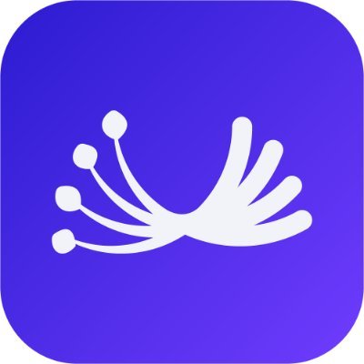 DL 加密貨幣