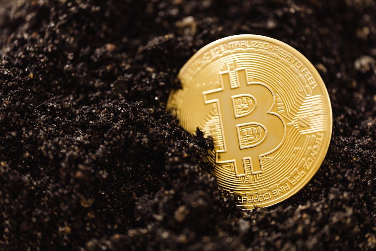 BTC Hakimiyeti