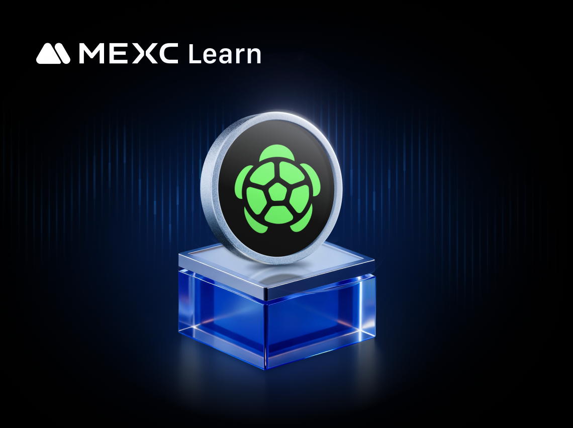 What is Turtle ($TURTLE)? Complete Guide to the Web3 Distribution Protocol