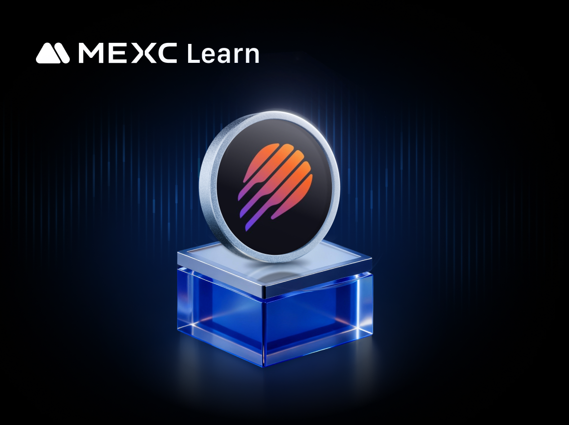 Meteora คืออะไร? ภาพรวมที่ครอบคลุมของโปรโตคอล Dynamic Liquidity Pool ของ Solana