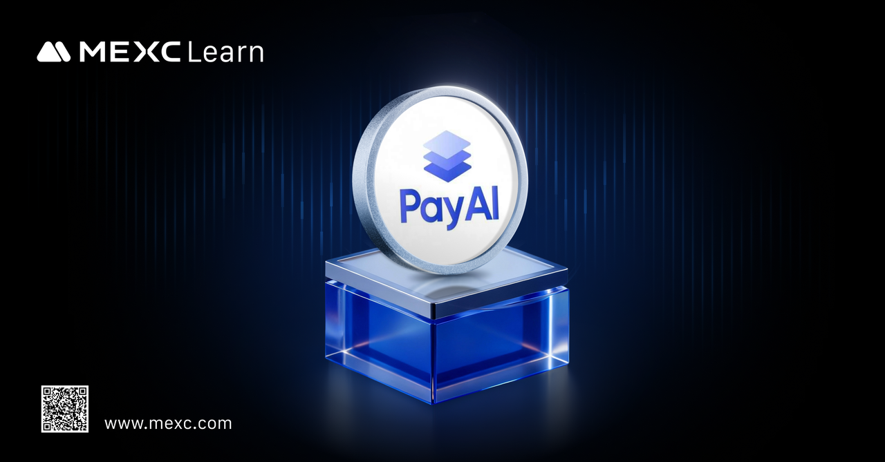 What is PayAI (PAYAI)