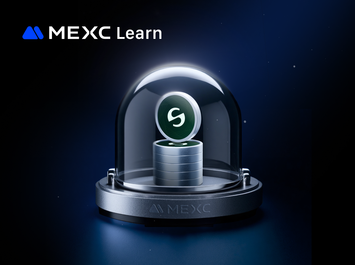 Phân Tích Thị Trường StableChain (STABLE): Dữ Liệu On-Chain so với Tiềm Năng Tăng Trưởng