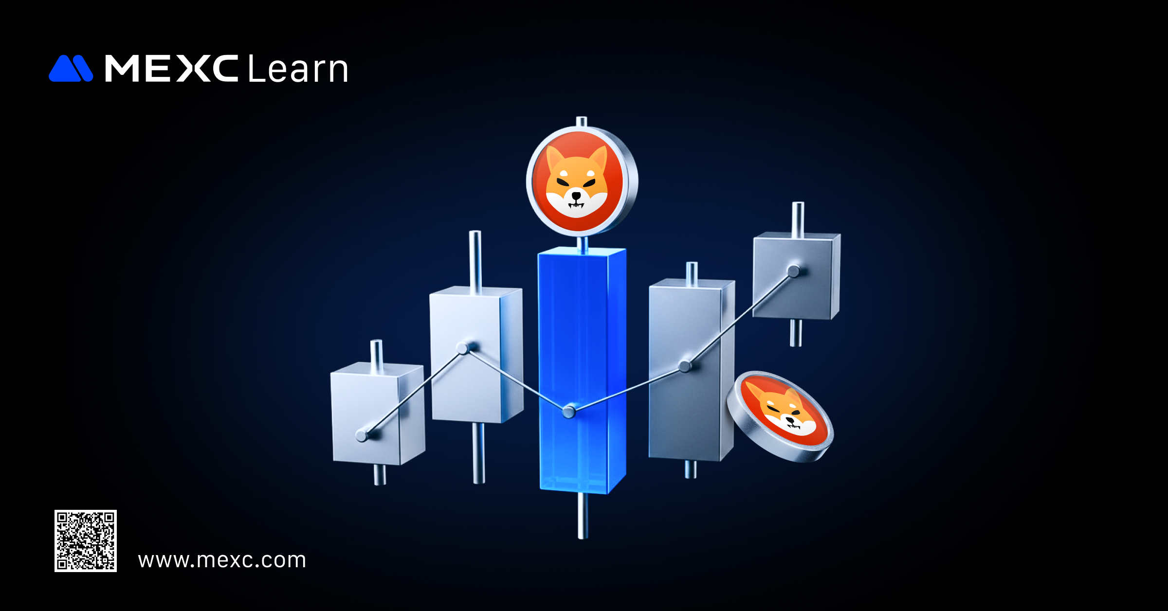 What are BONE & LEASH Tokens? A Complete Shiba Inu Ecosystem Guide