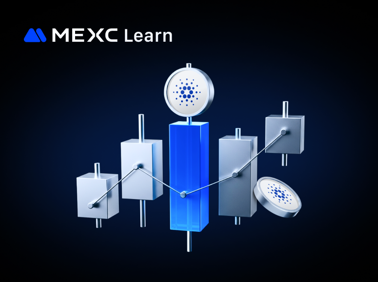 Tổng quan Hệ sinh thái Cardano: Các dự án DeFi và NFT hàng đầu trên ADA